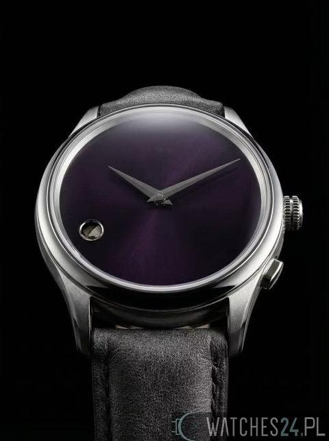 SCHAUMBURG WATCH HREPET