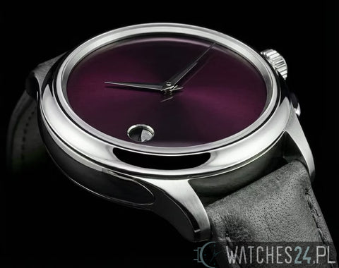 SCHAUMBURG WATCH HREPET