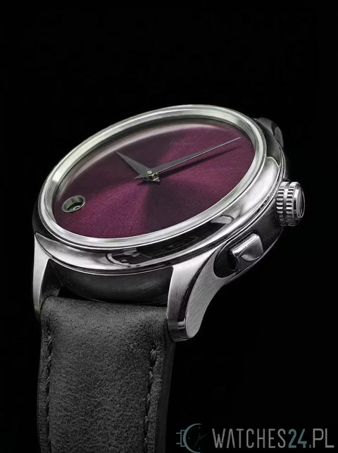 SCHAUMBURG WATCH HREPET
